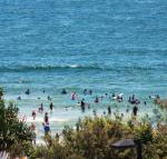 Pacific Towers Unit 4 19 Ormonde Tce Kings Beach - Events Australia