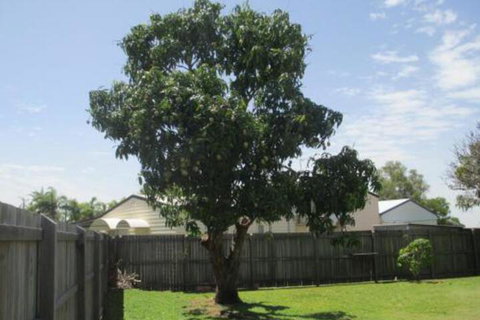 Fishermans Cottage Hervey Bay - Events Australia 2