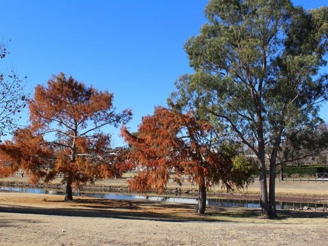 Creekview Cottage 70 Lock Street - Events Australia 6
