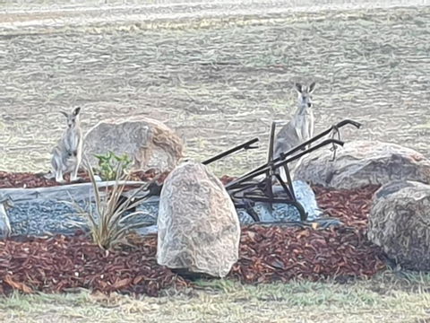 R & R On The Ravine - Events Australia 5