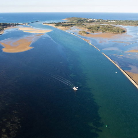 The Seabird - Events Australia 0