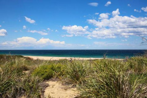 Sea Dream Pet Friendly 1 Min Walk To Beach - Events Australia 5