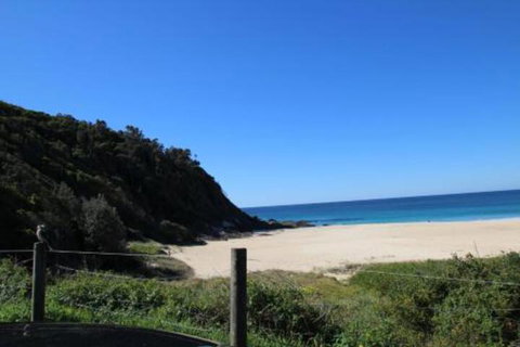 Mimosa - Events Australia 0