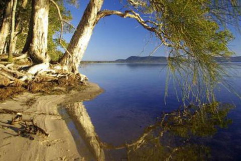 Mimosa - Events Australia 1