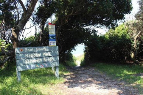 Mimosa - Events Australia 3