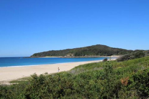 Mimosa - Events Australia 4