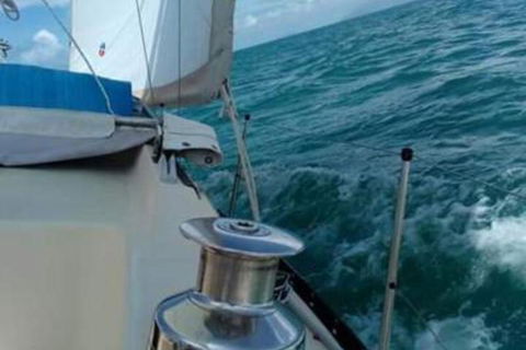 Casual Fare Sailing Charters Townsville Ocean Living Cruise - Tourism Bookings 2
