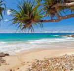 Coolum Classic Beach Shack Pet Friendly - Events Australia