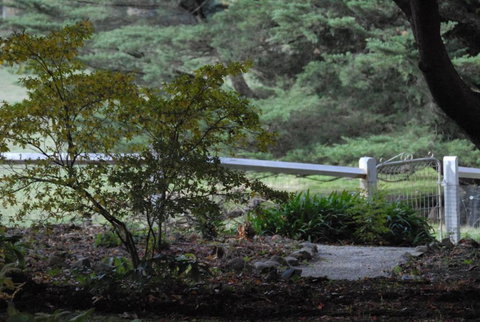 Toolebewang Farm Cottage - Events Australia 4