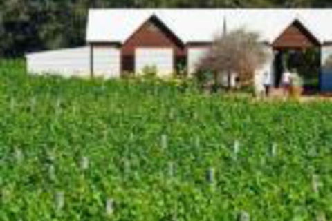 Upper Reach Spa Cottage - Events Australia 0