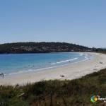 The Beach Escape - Events Australia 0