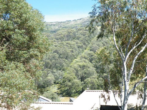 Mowamba E1 - Events Australia 4