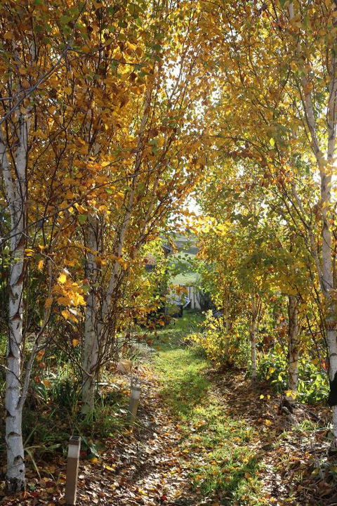 Magenta Cottage - Tourism Bookings 1