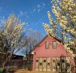 Magenta Cottage - Tourism Bookings