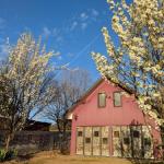 Magenta Cottage - Tourism Bookings 0