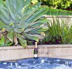 Fingal Escape - Events Australia