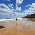 Arena Luxury Beachfront Apartment - Events Australia 0