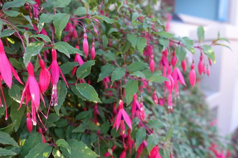 Lurline Villas - Events Australia 4