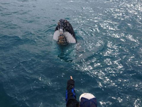 Number 72 Kalbarri Beach Resort - Events Australia 0