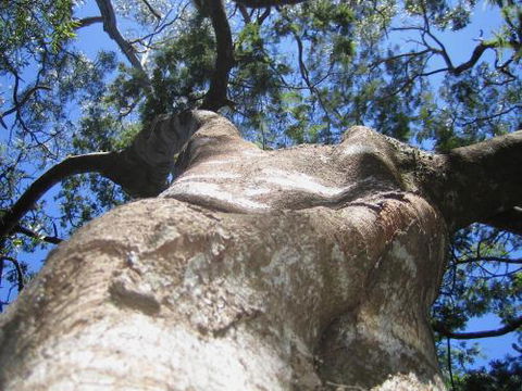 Arthur Riverfront & Sea Lodge Downstream - Events Australia 4