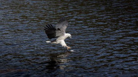 Arthur Riverfront & Sea Lodge Upstream - Events Australia 1
