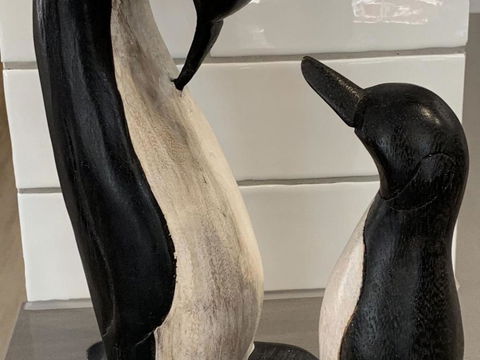 Ocean Spray Sawtell - Events Australia 1