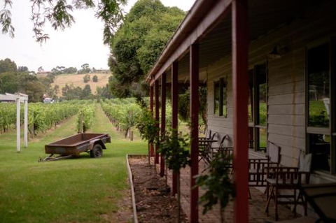Fergusson Winery Homestead Accomodation - Tourism Bookings 2
