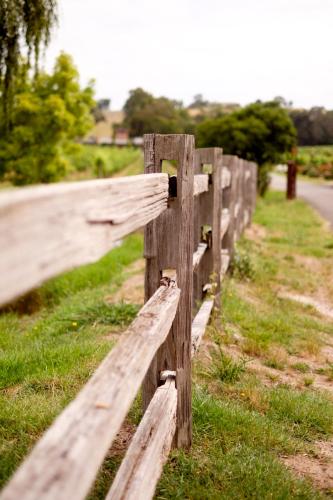 Fergusson Winery Homestead Accomodation - Tourism Bookings 6
