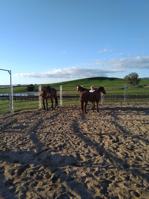 Altitude221 - Events Australia 2