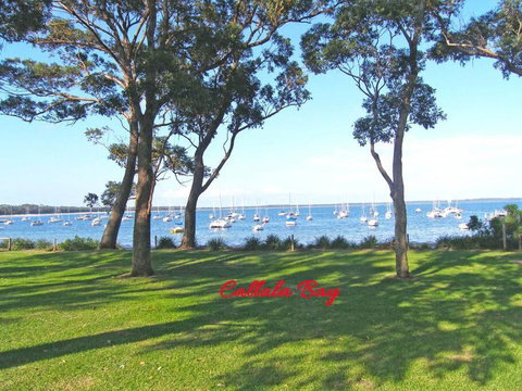 CHAP14C Chapman Cottage - Tourism Bookings 3