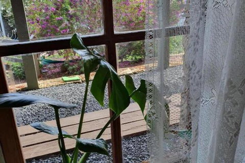 The Green Welly Stop - Events Australia 5