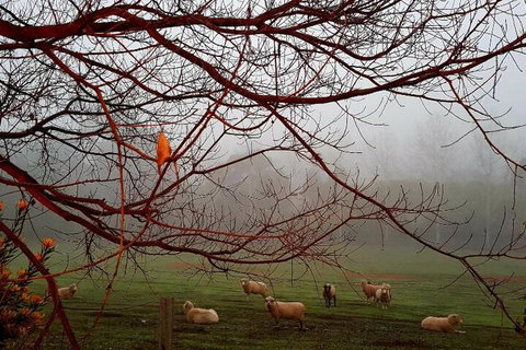 The Green Welly Stop - Events Australia 3