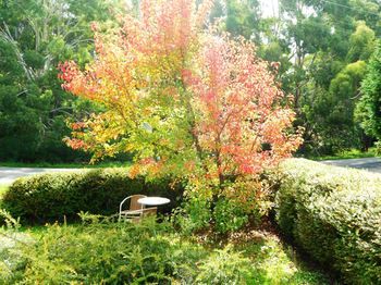 Acacia House Retreat Daylesford - Events Australia 0