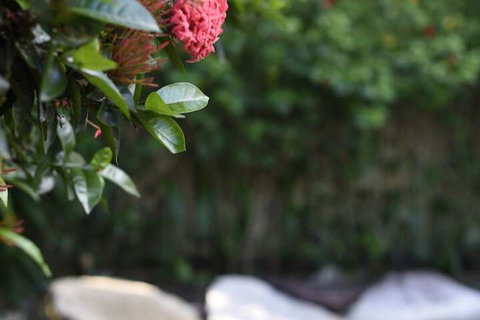 Sealords - Events Australia 3