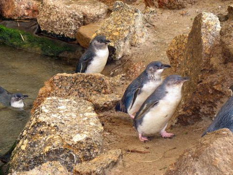 Close Encounters Bed & Breakfast - Events Australia 5