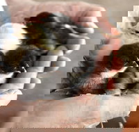 Margaret River Hideaway - Events Australia