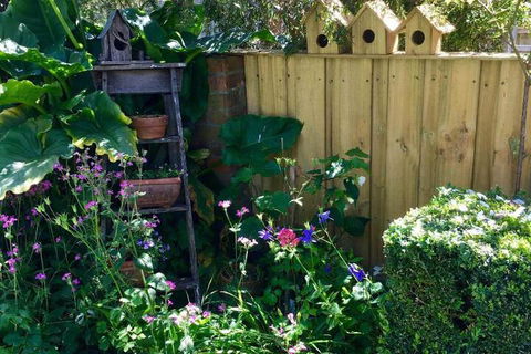 Aggies Bed & Breakfast - Events Australia 7