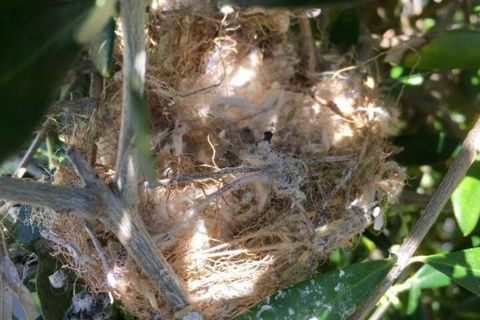 Aggies Bed & Breakfast - Events Australia 2