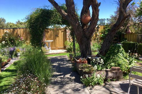 Aggies Bed & Breakfast - Events Australia 5