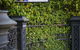 Hatherley Birrell Collection - thumb 1