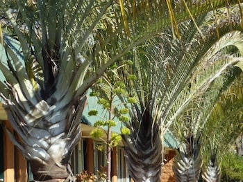 Somerville WA Events Australia