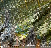 The Miners Rest Motel - Events Australia