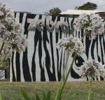 Zebras Guest House - Events Australia