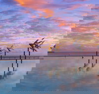Global Backpackers Cairns - Events Australia
