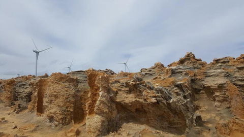 Georgia - Events Australia 4