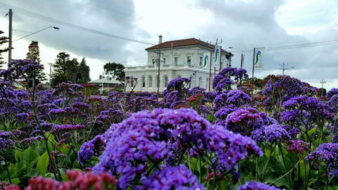 Georgia - Events Australia 3