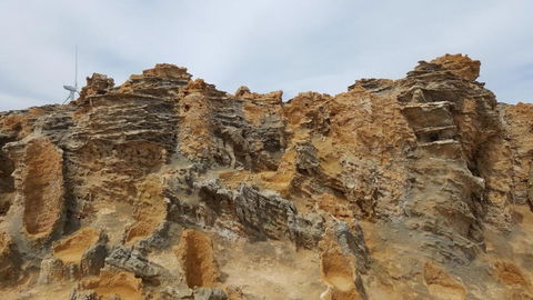 Georgia - Events Australia 5