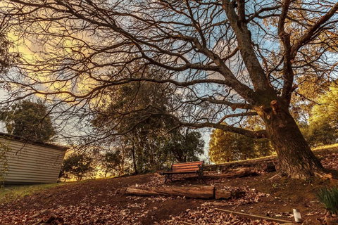 Forest Ave Cottages - Events Australia 1