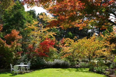 Wimbeldon - Events Australia 4