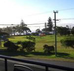 Dolphin Court 1 1 Gowing Street - Tourism Bookings